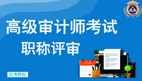 青海省审计系列高级专业技术职务任职资格评价标准(试行)