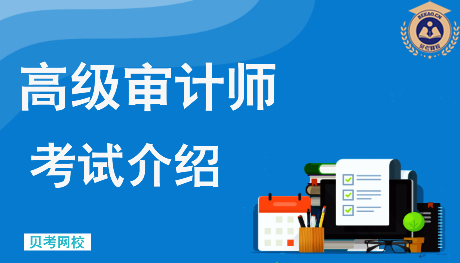 审计师是正高级职称吗