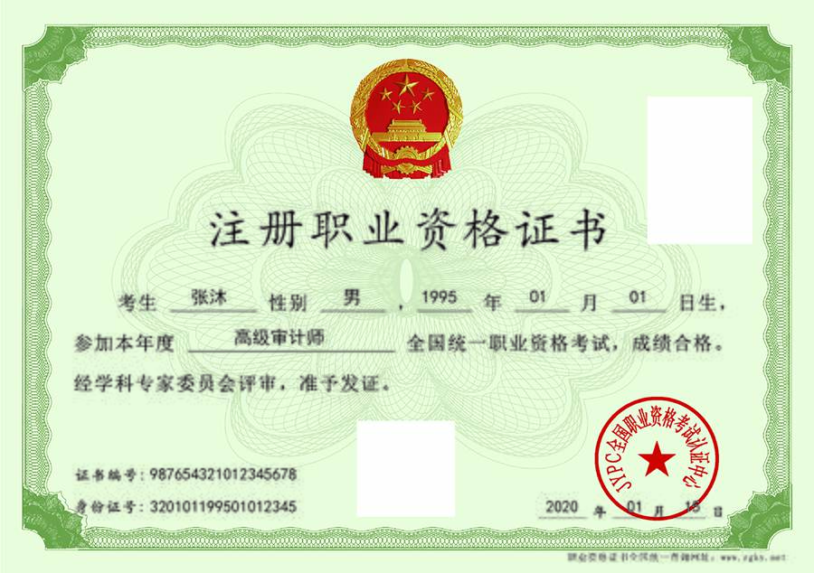 高级审计师资格证样本