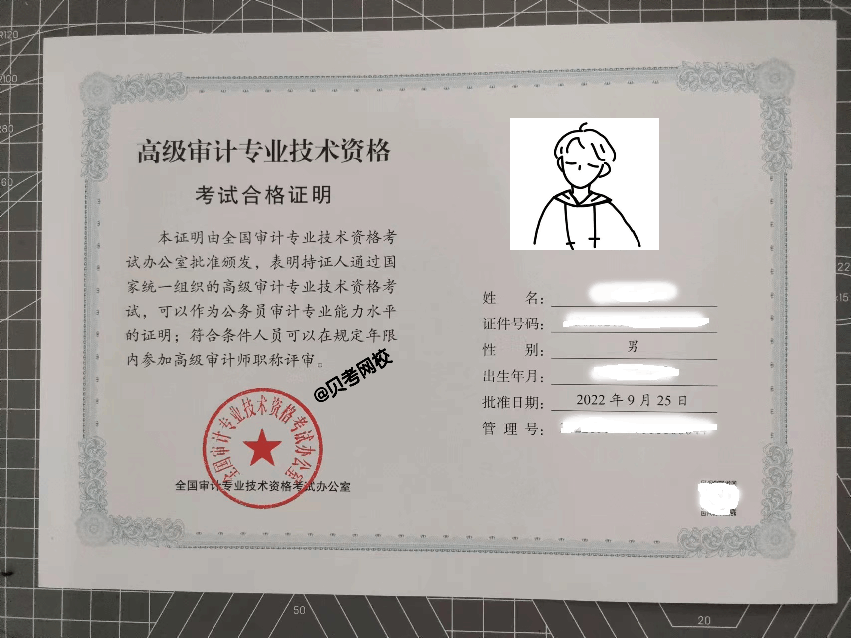 高级审计师合格证书样本