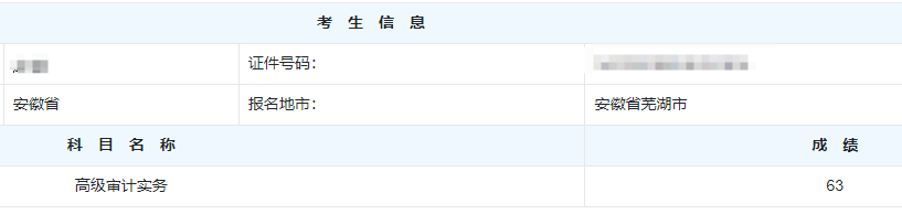 高级审计师考试分数