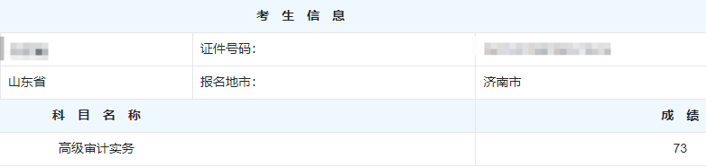 高级审计师考试分数
