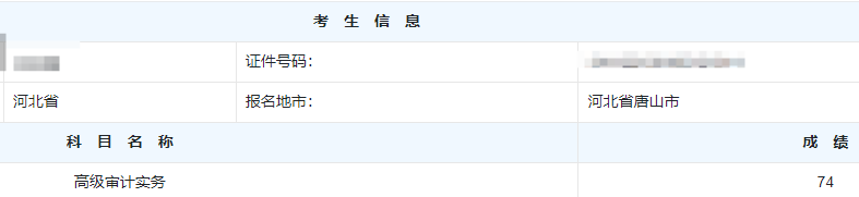 高级审计师考试分数