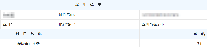 高级审计师考试分数