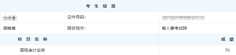 高级审计师考试分数