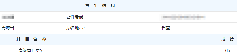 高级审计师考试分数