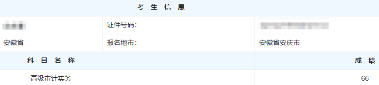 高级审计师考试分数