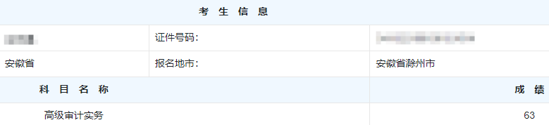 高级审计师考试分数