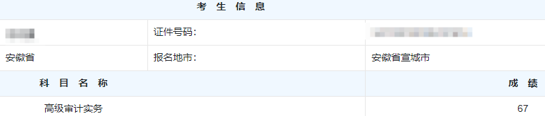 高级审计师考试分数