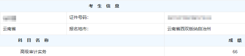 高级审计师考试分数