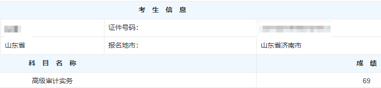 高级审计师考试分数