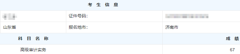 高级审计师考试分数