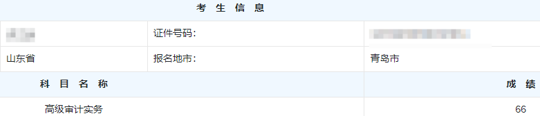 高级审计师考试分数