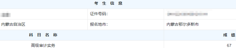 高级审计师考试分数