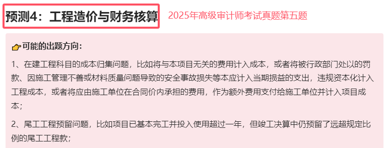 2025年高级审计师考试真题考点