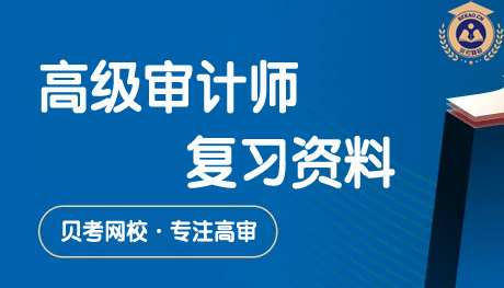 2027年高级审计师企业财务审计复习资料：考试内容及复习重点梳理